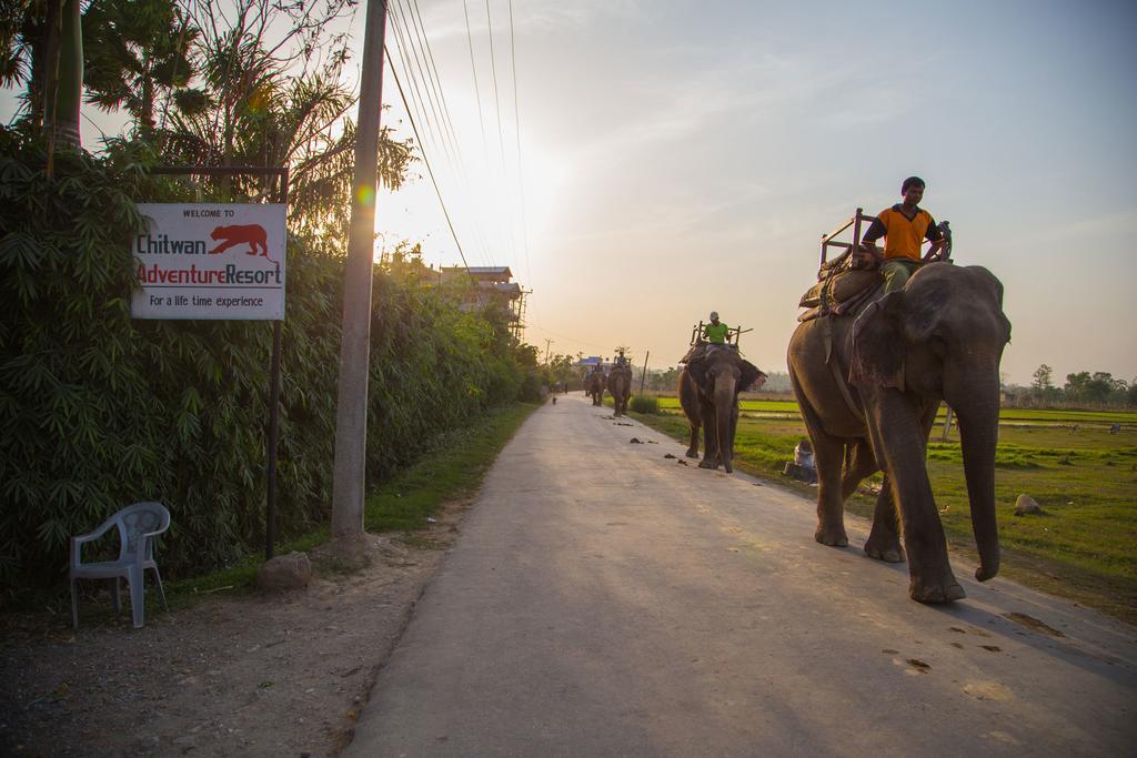 Chitwan Adventure Resort Sauraha Εξωτερικό φωτογραφία