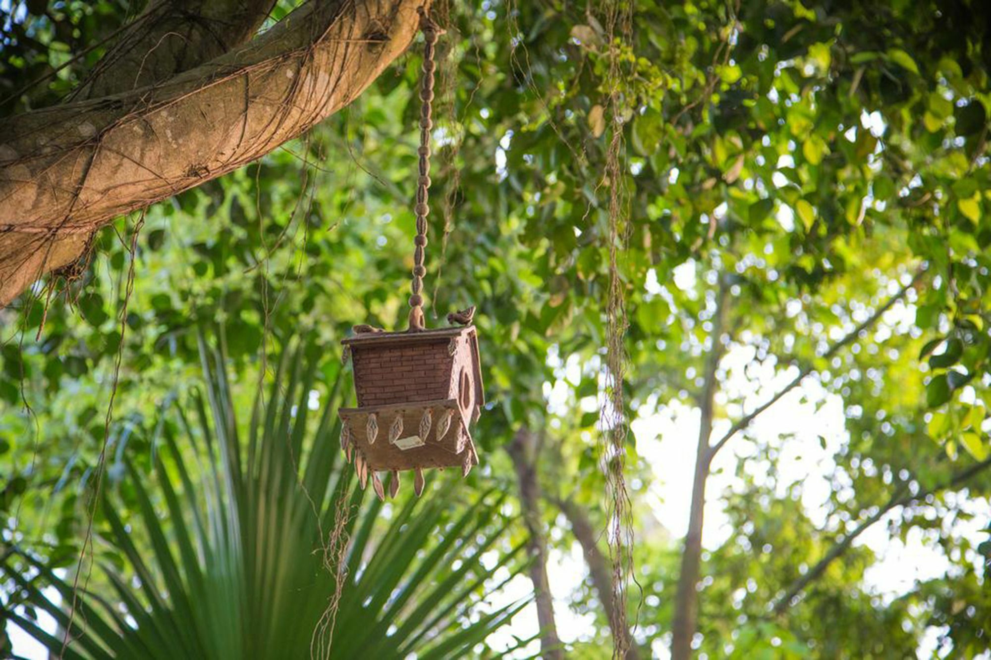 Chitwan Adventure Resort Sauraha Εξωτερικό φωτογραφία